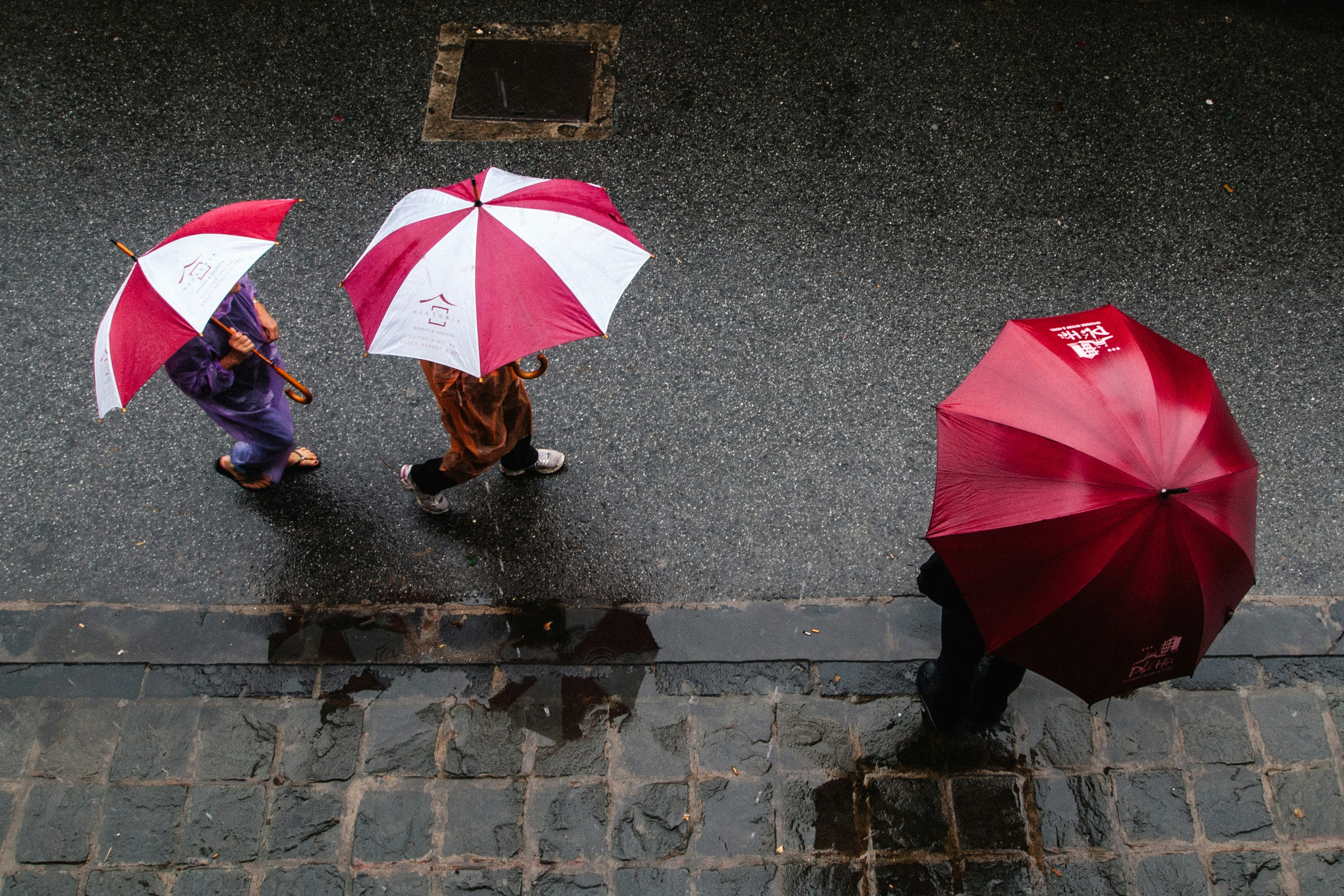 rainy season